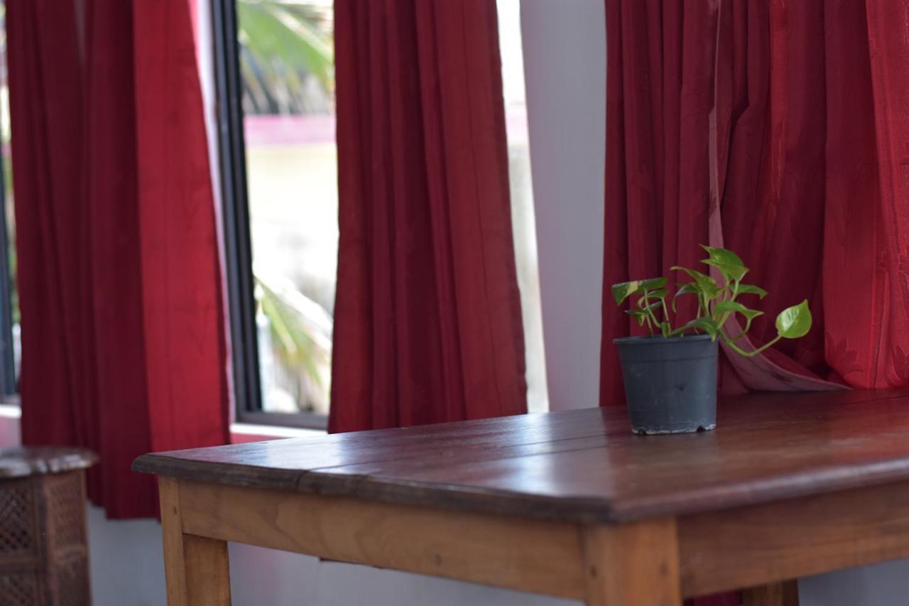 Packbag Beach Hotel كوفالام المظهر الخارجي الصورة